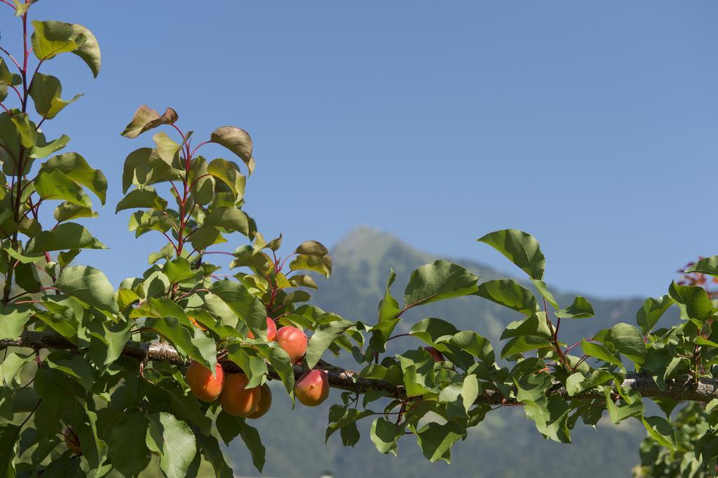 Pension Etschland Tirolo Ngoại thất bức ảnh